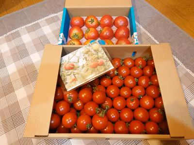 みんなの投稿の画像