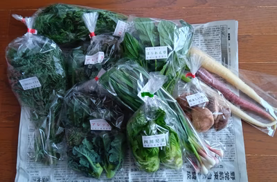 みんなの投稿の画像