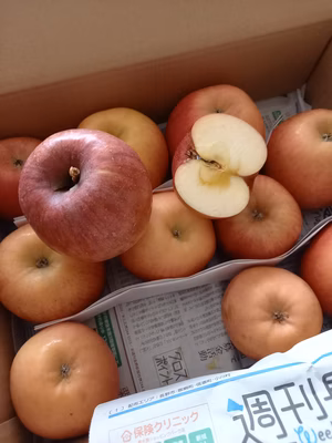 みんなの投稿の画像