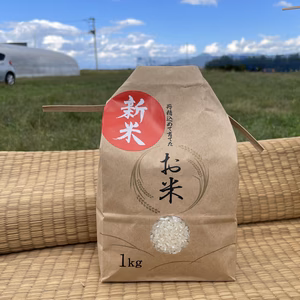 【新米/送料込】はえぬき　精米（１キロ、２キロ、３キロ、５キロ、９キロ）