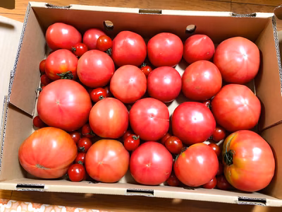 みんなの投稿の画像