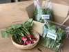 [一日一箱限定] 五味農園の日替り野菜BOX