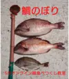 【GW特別企画】 鯛のぼりセット 5/5オンライン食べつくし教室付き 