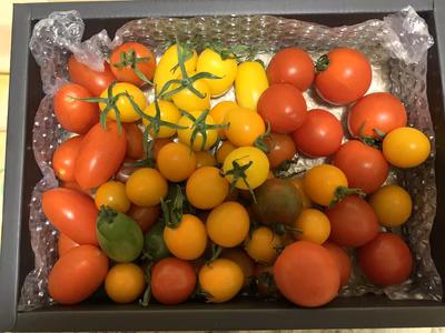 みんなの投稿の画像