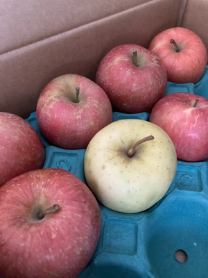 みんなの投稿の画像