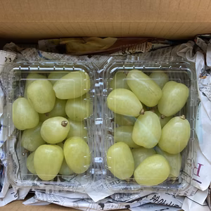 巨大粒つぶパック　雄宝！　500g×2パック　合計1キロ