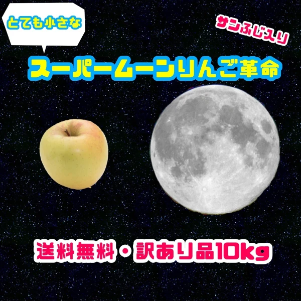 スーパームーンりんご＆サンふじ・訳あり10kg【送料無料】