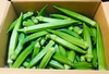 ネバネバ〜鹿児島県指宿名産  今が旬のオクラ!!【無選別1.2キロ】