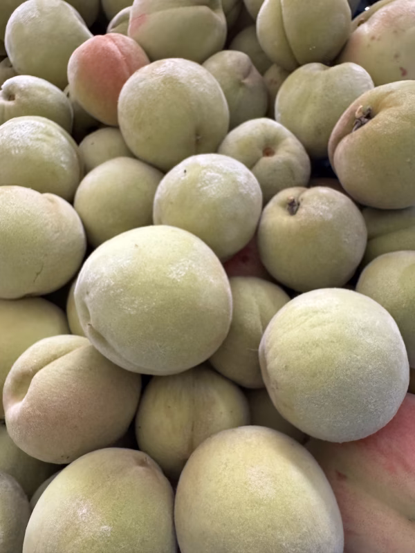 青桃１kg(10～20個）・Quả đào xanh