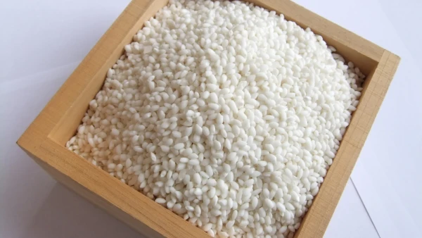 【業務用サイズ】幻の〆張りもち米　玄米30kg （送料込）