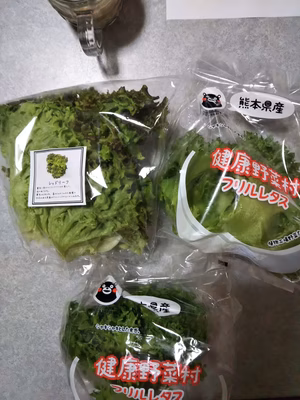 みんなの投稿の画像