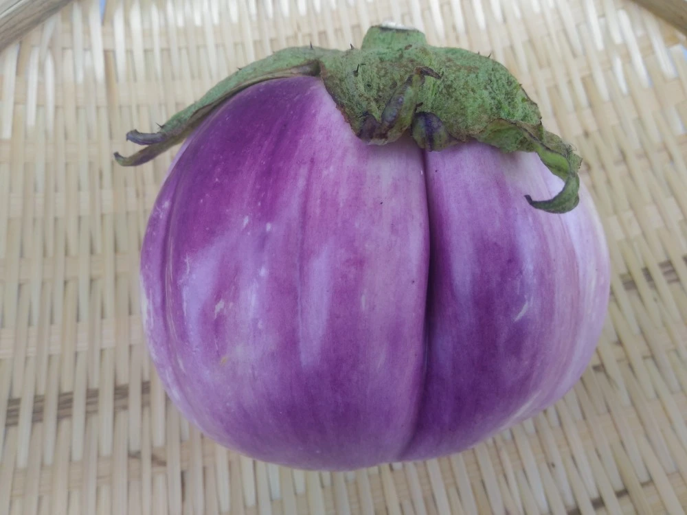初秋のスタミナ果菜セット
