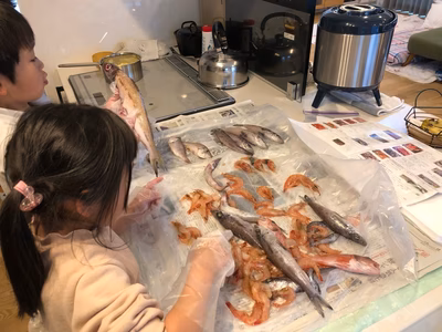 みんなの投稿の画像