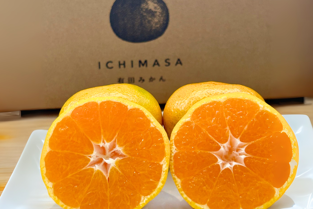 有田みかんの産直通販・お取り寄せ商品｜ポケットマルシェ｜産地