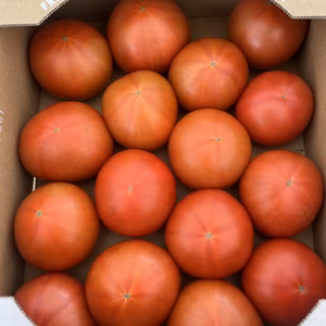 クール便！Sサイズ！期間限定！お得用ぜいたくトマト！