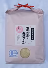 【新米】令和6年産　JAS有機栽培ミルキークイーン白米5㎏