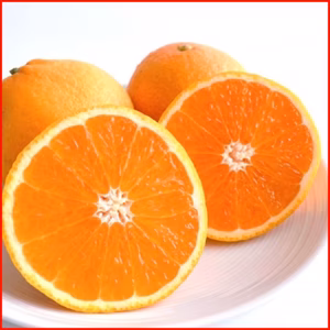 清見みかん きよみ 清見オレンジ 訳あり 和歌山県産  旬の果物