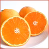 清見みかん きよみ 清見オレンジ 訳あり 和歌山県産  旬の果物