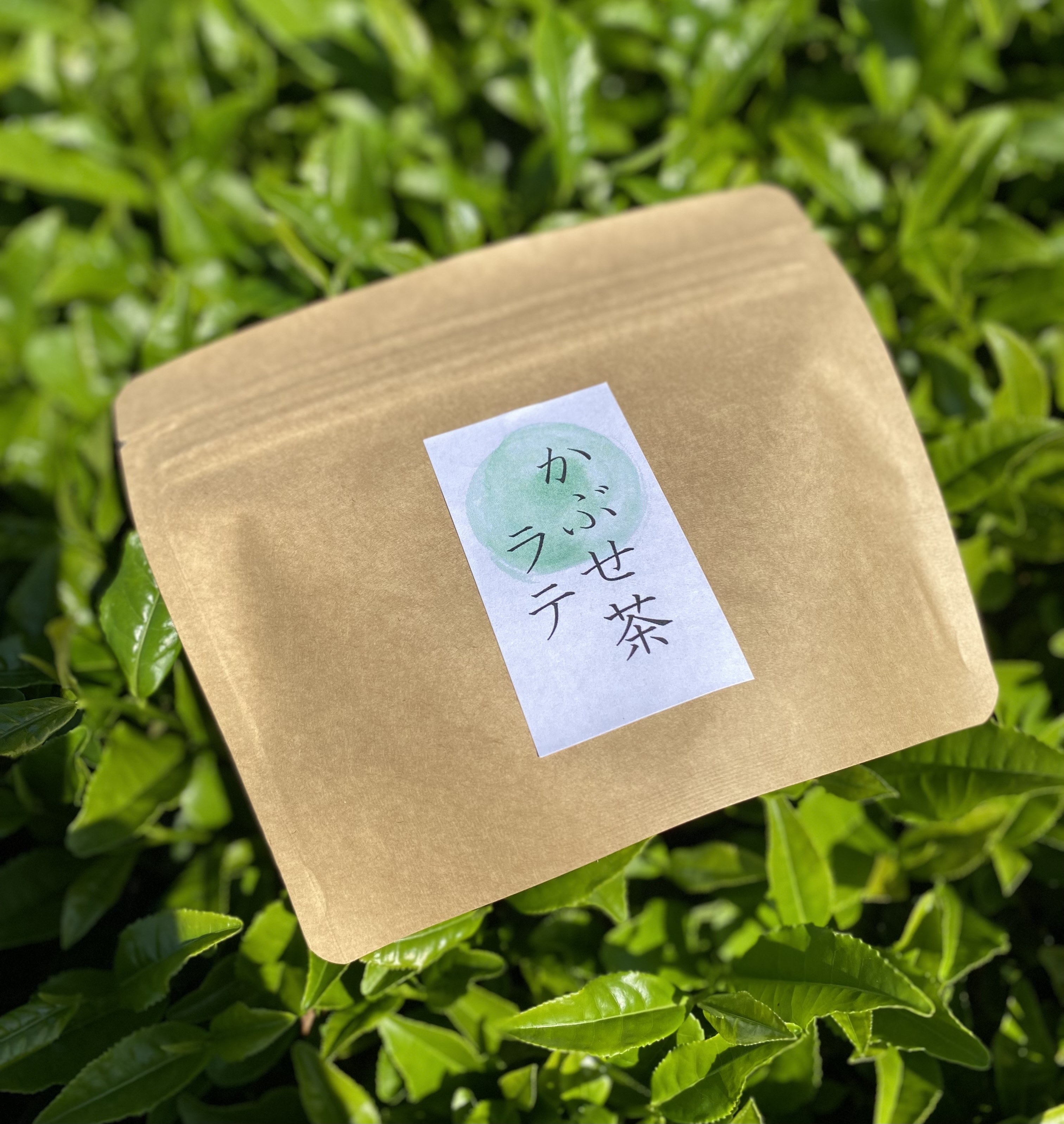 お茶好きにはたまらない◎伊勢かぶせ茶ラテ ｜その他のお茶の商品詳細