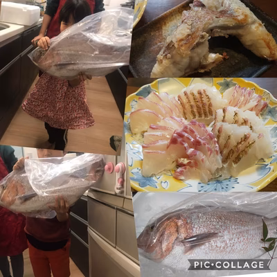 みんなの投稿の画像