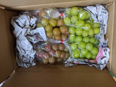 みんなの投稿の画像