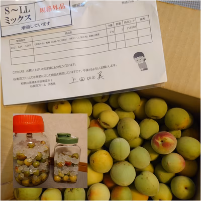 みんなの投稿の画像