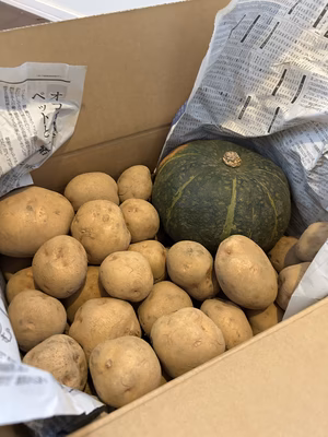 みんなの投稿の画像