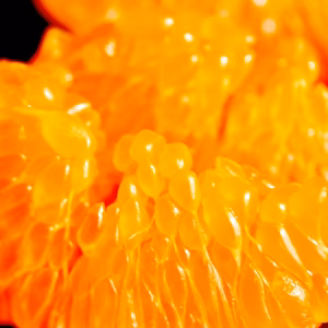 食べやすくてジューシー！「きみのハルミ」（はるみ）