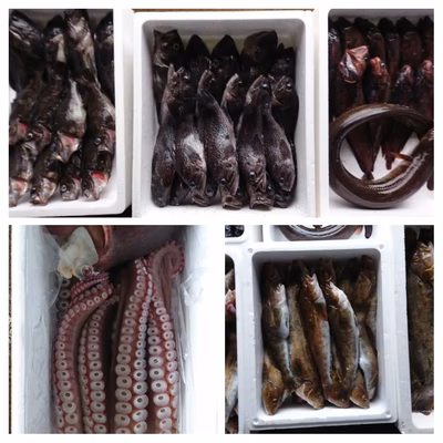 みんなの投稿の画像