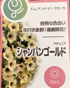栄養系ペチュニア★暑さ雨に強い★シャンパンゴールド3鉢より