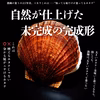 これが本物！漁師が喰うホタテ【1㎏】ヘラ付
