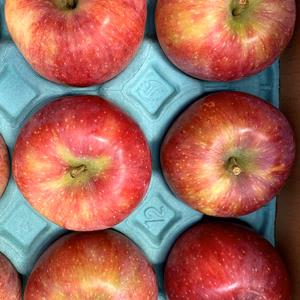 人気爆発中！シナノリップ！A品、B品ミックス　3キロ箱