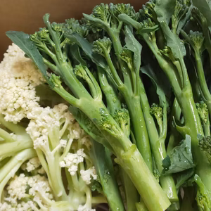 真冬の　茎ブロッコリー＆スティックカリフラワー　ここだけセット