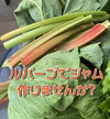 ルバーブ700g