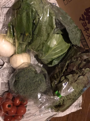 みんなの投稿の画像