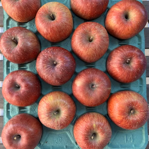 お買い得！家庭用サンふじ