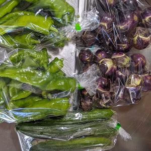 丸ナス、キュウリ、アマトウガラシ