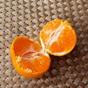 ４㌔　何個でも食べれる　ふつうのみかん　おまけつき