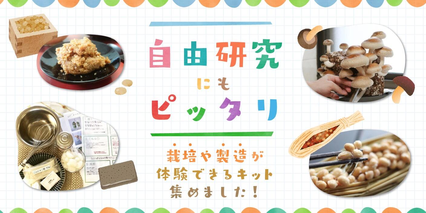 自由研究にもピッタリ🧐自宅で『栽培や製造が体験できるキット』のご