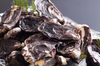 【特大サイズ！】伊勢志摩プレミアムオイスター