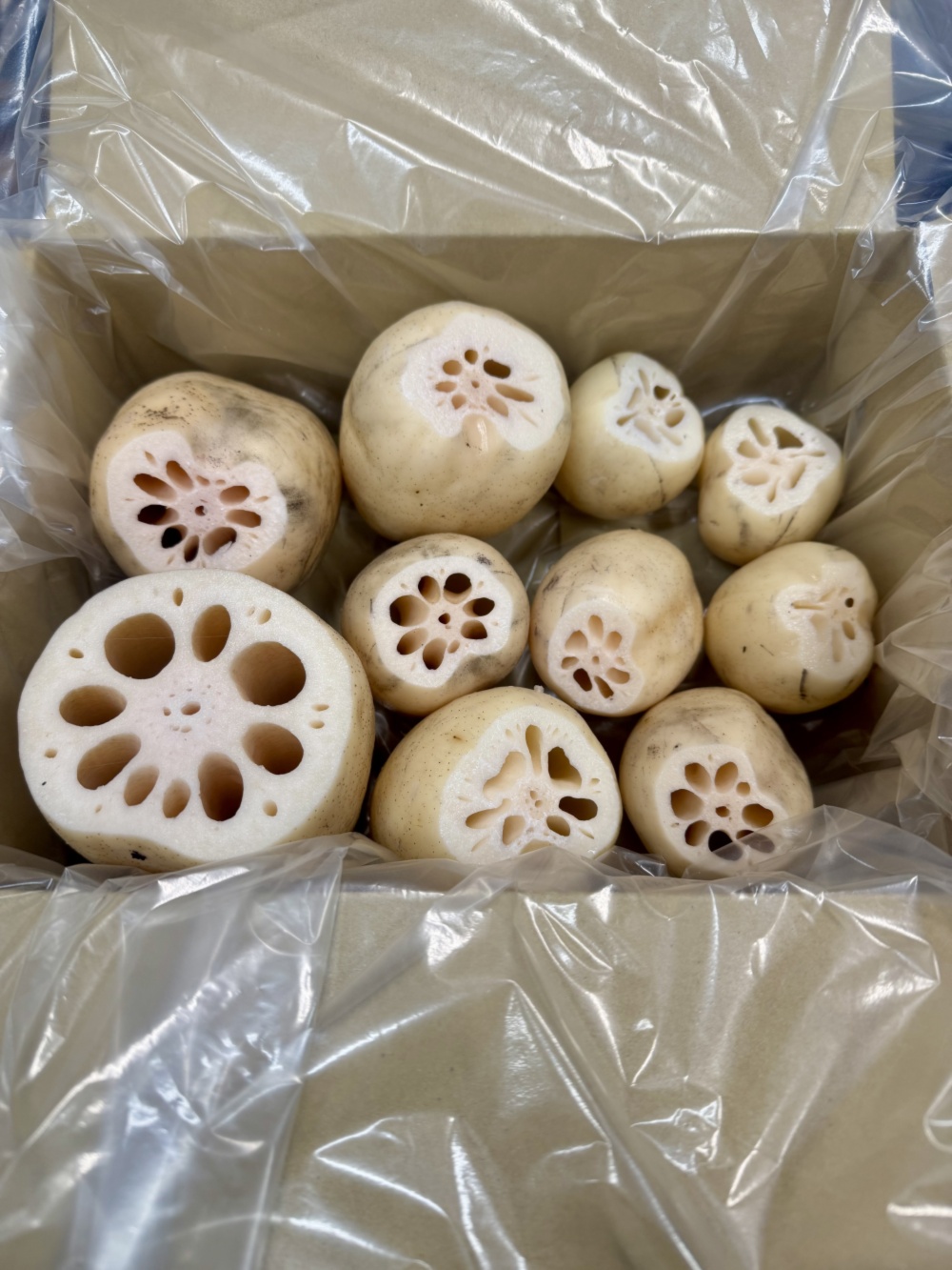 茨城県土浦市ブランド認定品『市川蓮根』甘みたっぷり！ご自宅用箱