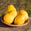 合原有機農園のカリン【訳あり品】