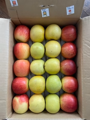 みんなの投稿の画像