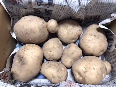 みんなの投稿の画像