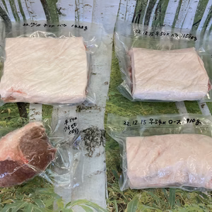ジビエ料理、BBQに！猪ブロック肉各種