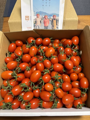 みんなの投稿の画像