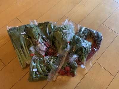 みんなの投稿の画像