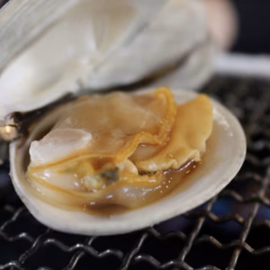 活九十九里地はまぐり　中サイズ　1k約13〜19個程度