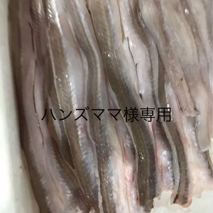 ハンズママ様専用