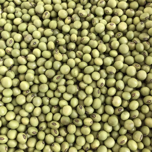 小粒大豆　黒神